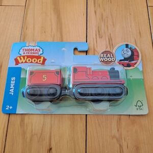 NEW! GGG62 JAMES!  Thomas Train Wooden Railway Thomas & Friends WOOD